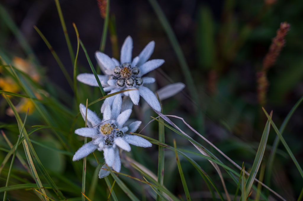 Responsible Software warm-up